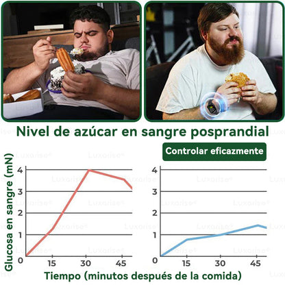 🧧𝑻𝒊𝒆𝒏𝒅𝒂 𝑶𝒇𝒊𝒄𝒊𝒂𝒍 | 𝑳𝒖𝒙𝒂𝒓𝒊𝒔𝒆® 10 𝑬𝑵 1 𝑴𝒐𝒓𝒊𝒏𝒈𝒂 𝒚 𝑩𝒆𝒓𝒃𝒆𝒓𝒊𝒏𝒂 𝑷𝒂𝒓𝒄𝒉𝒆 𝒅𝒆 𝑴𝒊𝒄𝒓𝒐𝒂𝒈𝒖𝒋𝒂𝒔 𝑵𝒂𝒏𝒐 | 1 𝒂𝒑𝒍𝒊𝒄𝒂𝒄𝒊ó𝒏 𝒂𝒍 𝒅í𝒂 · 𝑪𝒂𝒎𝒃𝒊𝒐𝒔 𝒗𝒊𝒔𝒊𝒃𝒍𝒆𝒔 𝒅𝒆𝒔𝒅𝒆 7 𝒅í𝒂𝒔
