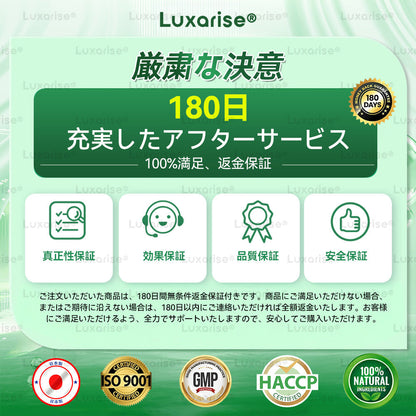 🔖公式ストア Luxarise® モリンガ＆ベルベリン 10-IN-1 高機能ナノマイクロニードルパッチ（1日1回、7日で変化を実感） 肥満・糖尿病・睡眠時無呼吸症候群・関節の悩み向け