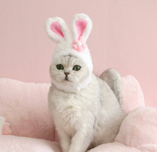 Fluffy White & Pink Bunny Ears Hat for Gentle Cats